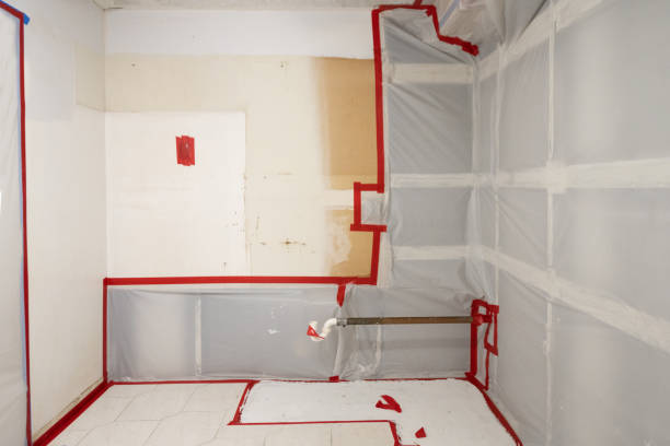 Best Mold Remediation for Healthcare Facilities  in St Petersburg, FL