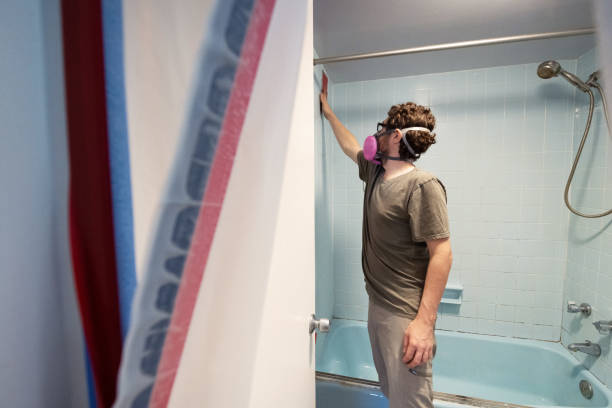  St Petersburg, FL Mold Removal Pros