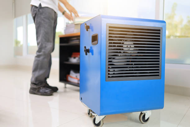Best Industrial Mold Remediation  in St Petersburg, FL